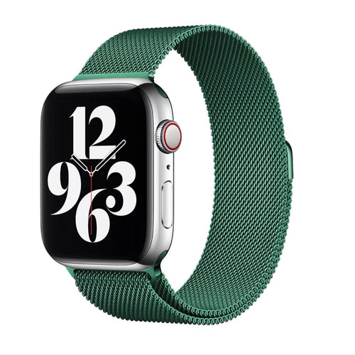 Milanese Apple Watch Band