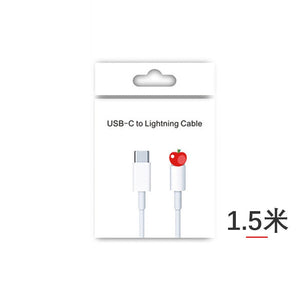 PD20W Fast Charging Adapter